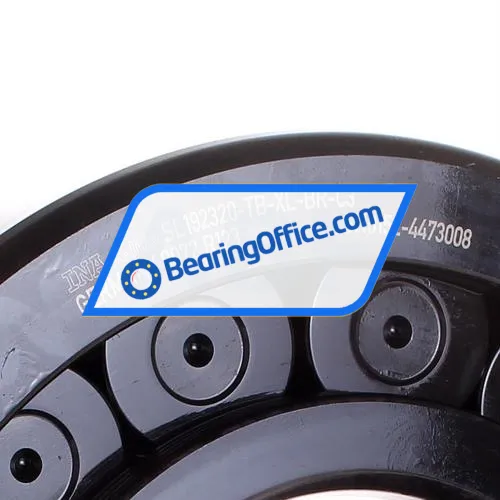 INA SL192320-TB-XL-BR-C3 bearing image 2