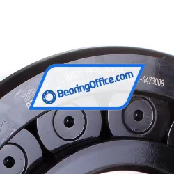 INA SL192320-TB-XL-BR-C3 rulman resim 2