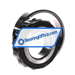 FAG N310-E-XL-TVP2-C3 rulman resim 3