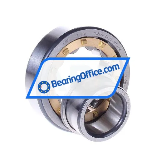 FAG NJ305-E-XL-M1-C4 bearing image 2