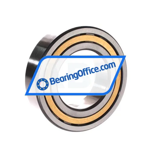 FAG NJ2211-E-XL-M1A-C3 bearing image 2