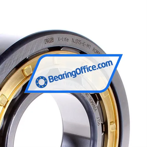 FAG NJ315-E-M1 bearing image 2