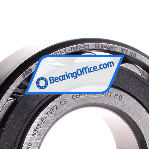 FAG N313E-TVP2-C3 bearing image 2