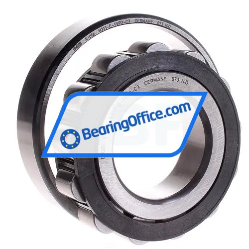 FAG N313E-TVP2-C3 bearing image 3