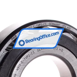 FAG N313E-TVP2-C3 rulman resim 2