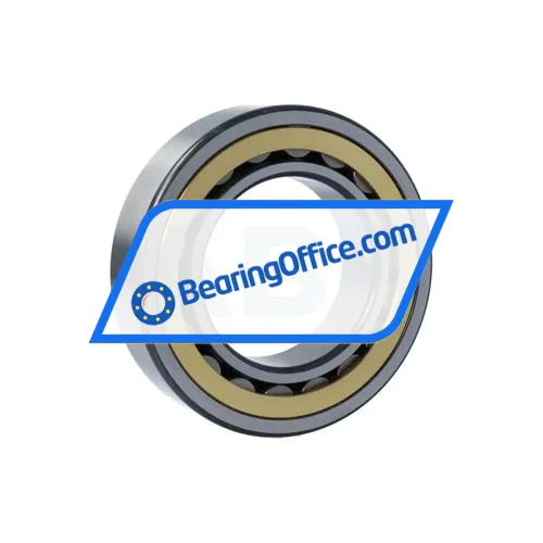 FAG NJP2216-E-XL-M1A-C3 bearing image 2