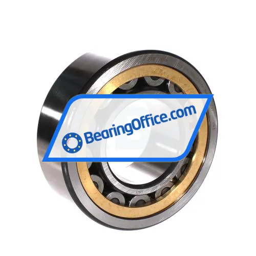 FAG NJ2318-E-XL-MPAX-QP51-C4