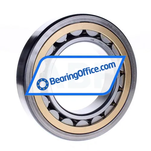 FAG NJ220-E-XL-MPAX-C4