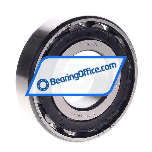 FAG N308E-TVP2-C4