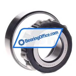 FAG N308E-TVP2-C4 rulman resim 2