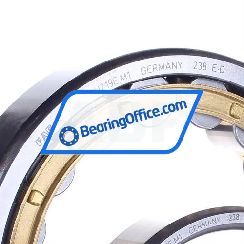 FAG NU219-E-M1 bearing image 2