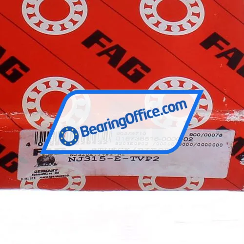 FAG NJ315E-TVP2 bearing image 6