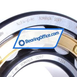 FAG NJ314E-M1 rulman resim 2