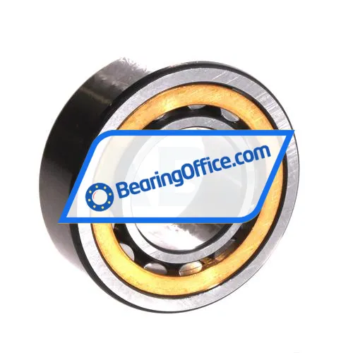 FAG NU2206-E-XL-M1A-C4 bearing image 2