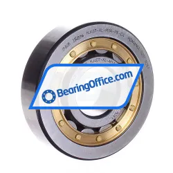 FAG NJ407-XL-M1A-P6-C4