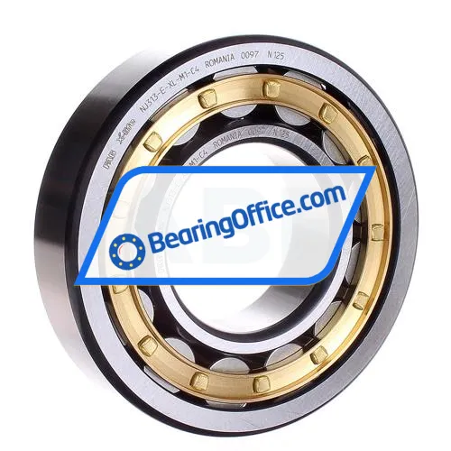 FAG NJ313-E-XL-M1-C4