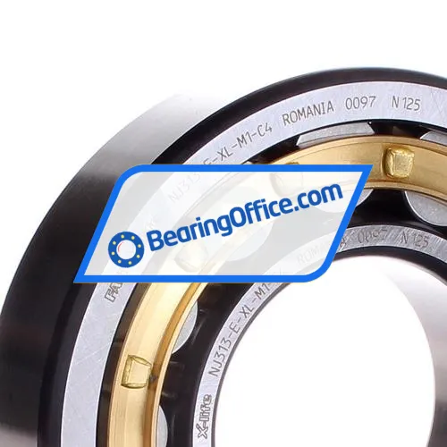 FAG NJ313-E-XL-M1-C4 bearing image 2