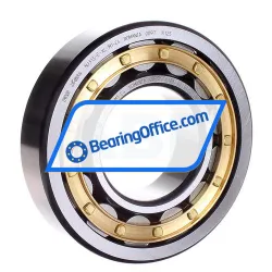 FAG NJ313-E-XL-M1-C4