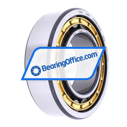 FAG NJ2209-E-XL-M1-C4