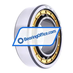 FAG NJ2209-E-XL-M1-C4