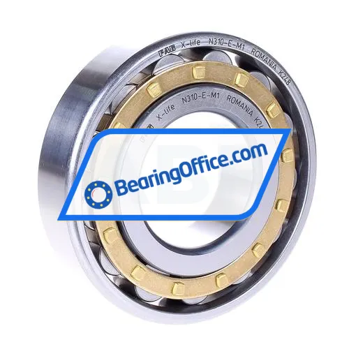 FAG N310-E-M1