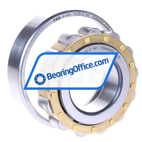 FAG N310-E-M1 bearing image 2