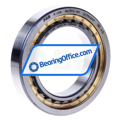 FAG NU1012M1