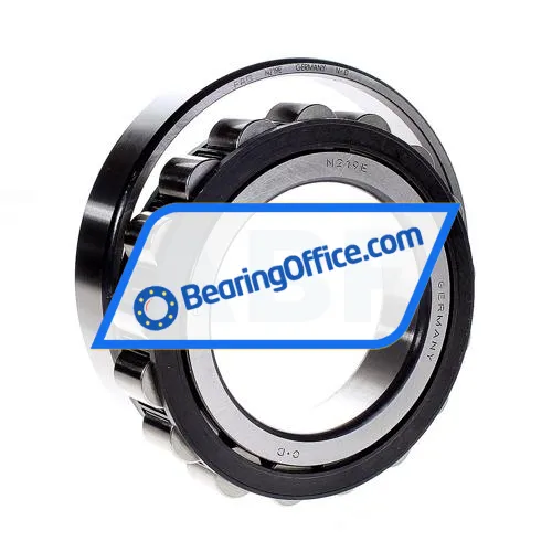 FAG N219E-TVP2 bearing image 2