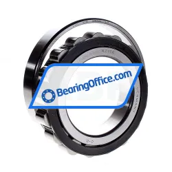 FAG N219E-TVP2 rulman resim 2