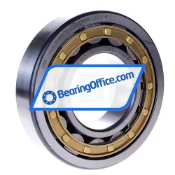 FAG NJ315-E-M1-F1-C4