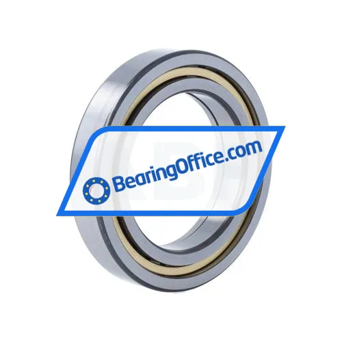 FAG NUP1013-XL-M1 bearing image 2