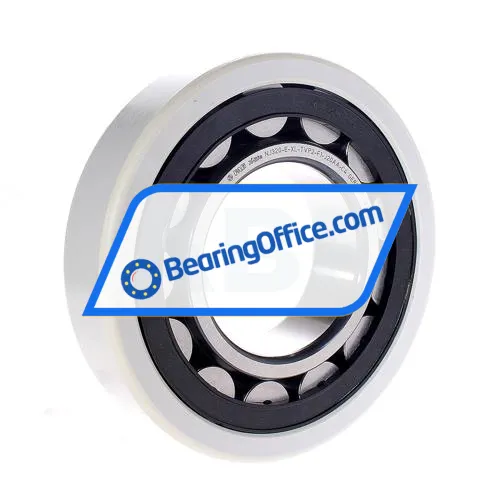 FAG NJ320-E-XL-TVP2-F1-J20AA-C4