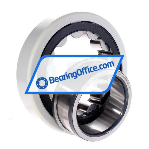 FAG NJ320-E-XL-TVP2-F1-J20AA-C4 bearing image 2