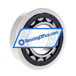 FAG NJ320-E-XL-TVP2-F1-J20AA-C4