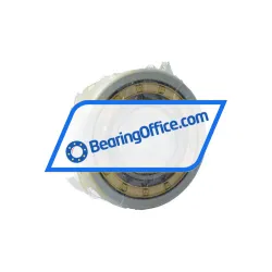 FAG NU320-E-XL-M1-J20AA-C3