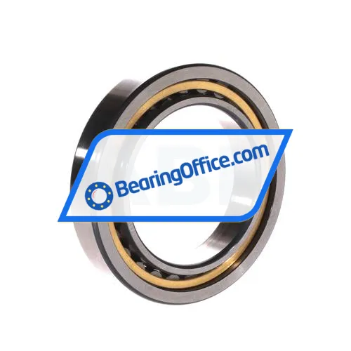 FAG NU1013-M1 bearing image 2