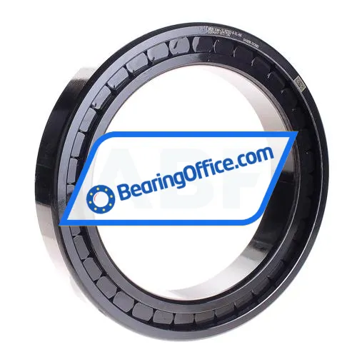 INA SL182932-B-XL-BR