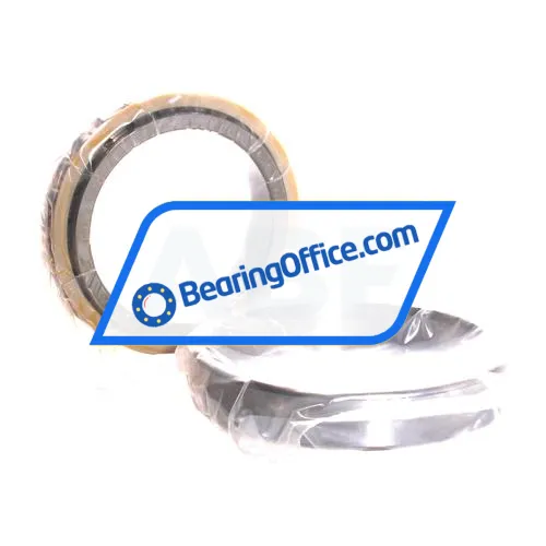 FAG N1013-C-K-PVPA-SP