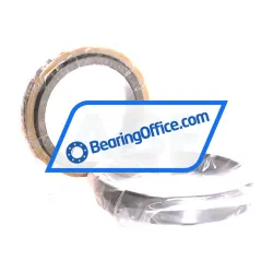 FAG N1013-C-K-PVPA-SP