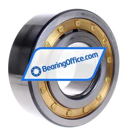 FAG NUP2320-E-M1A-QP51-C4