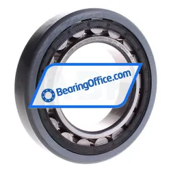 FAG NU218-E-TVP2-J20A-C3