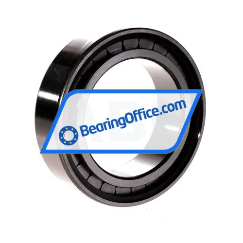 INA SL18-3015 bearing image 2