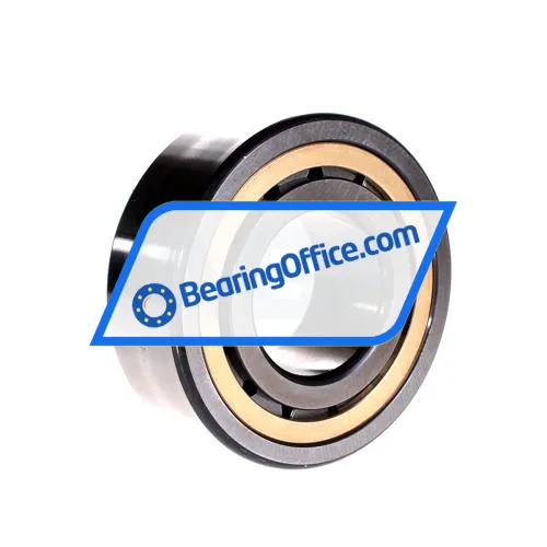 FAG NJ2312-E-XL-MPAX-QP51-C4 bearing image 2
