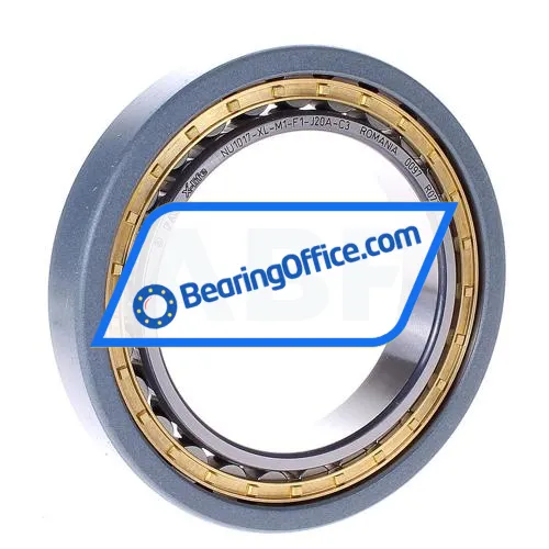 FAG NU1017-XL-M1-F1-J20A-C3