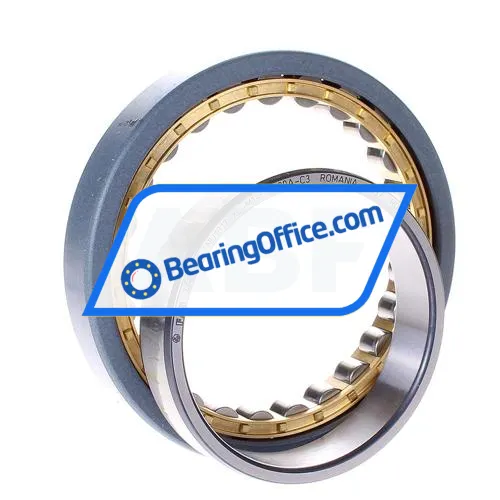 FAG NU1017-XL-M1-F1-J20A-C3 bearing image 2