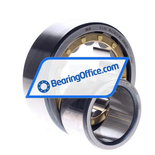 FAG NU2310E-M1 bearing image 2