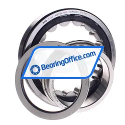 FAG NUP219E-TVP2 rulman resim 2