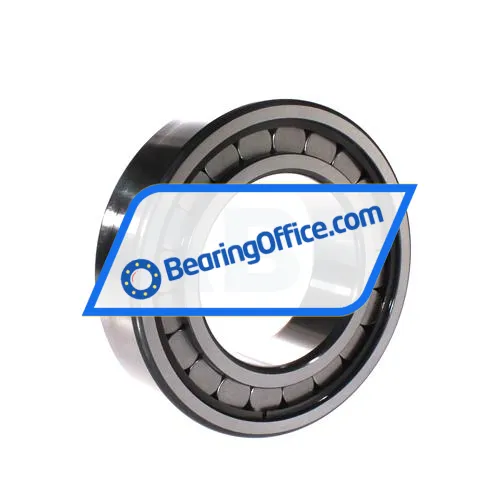INA SL182218-A-C3 bearing image 2