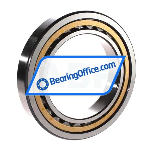 FAG NU1020-XL-M1-C3 bearing image 2
