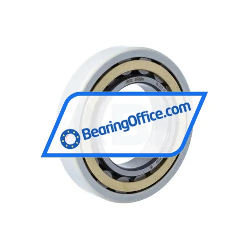 FAG NU213-E-XL-M1-F1-J20AA-C4